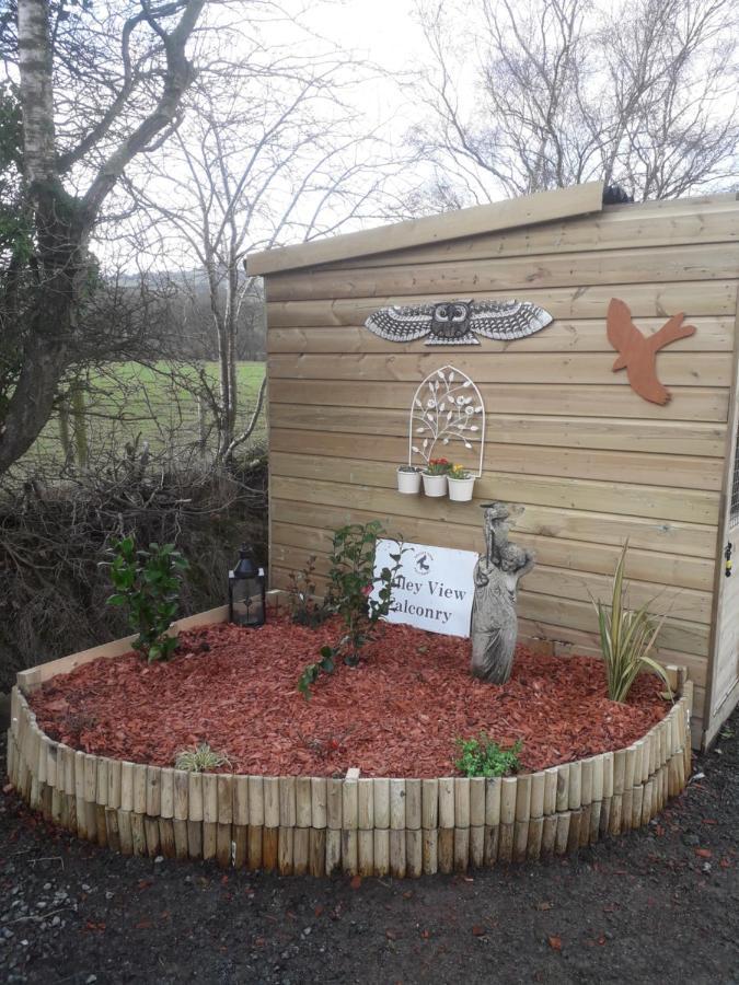 Ruby Shepherds Hut Sleeps 4 Rhayader Exterior foto